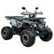 Квадроцикл SP125-8 203619 фото 2