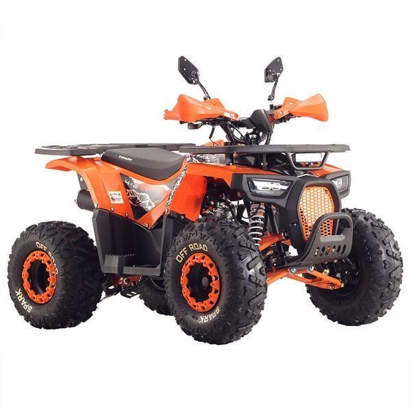 Квадроцикл SP125-9 203620 фото